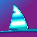SharkClub Race